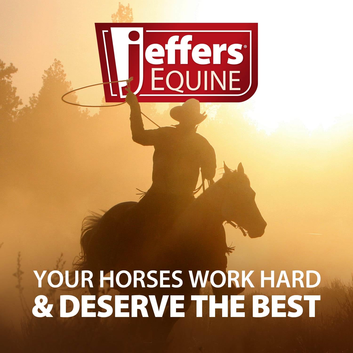 Jeffers Equine Motion Potion Liquid Horse Joint Supplement with HA, Cherry Flavor - Glucosamine, MSM, Chondroitin, Hyaluronic Ac